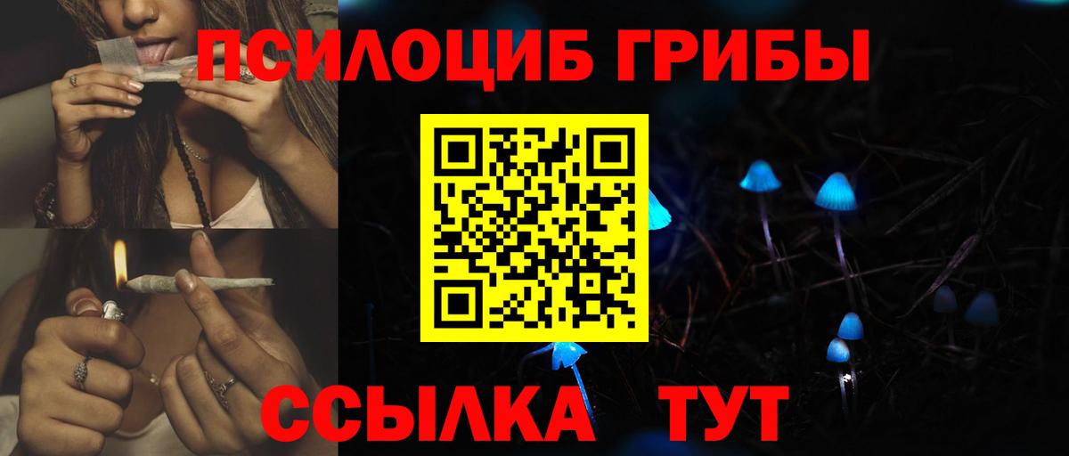 Галлюциногенные грибы мухоморы Протвино